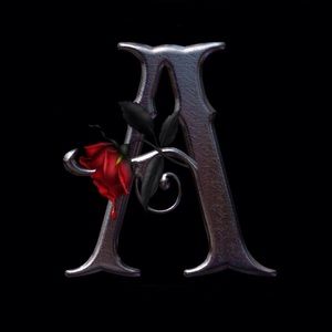 Meet your Posher, Angelia